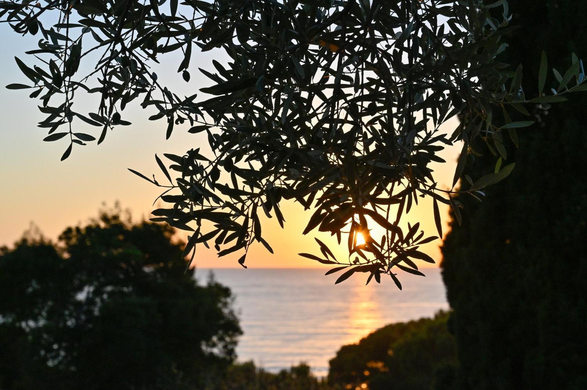 Albeca Boutique Hotel - Relais De Charme Sul Mare Кастелабате Екстериор снимка