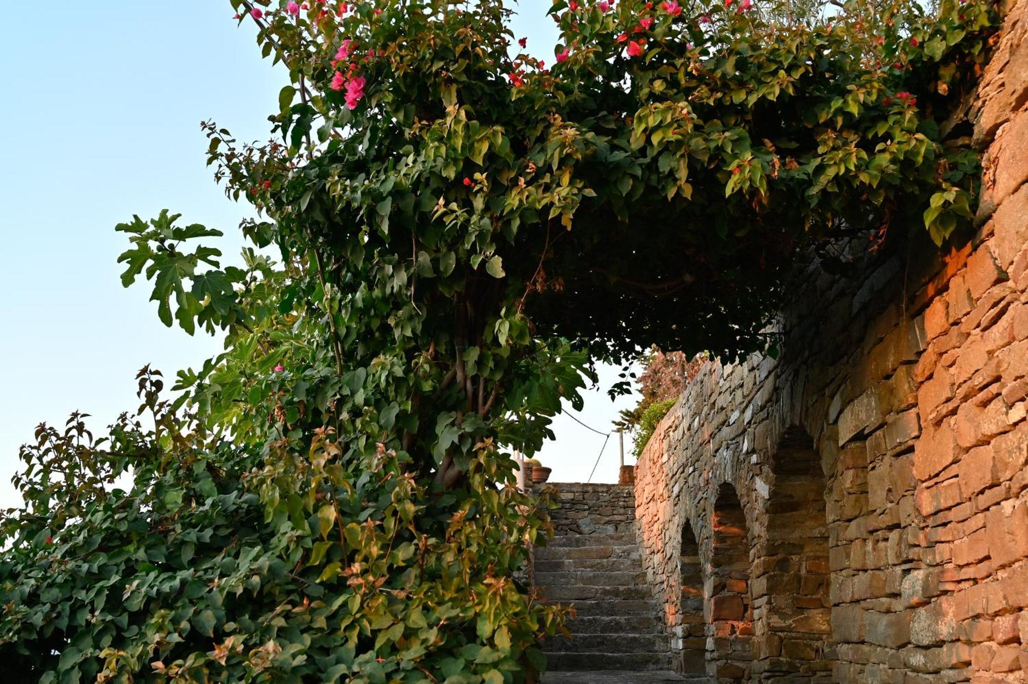 Albeca Boutique Hotel - Relais De Charme Sul Mare Кастелабате Екстериор снимка